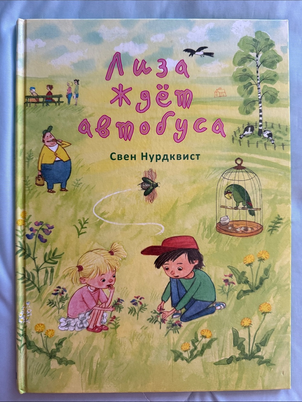 Лиза ждёт автобуса  Свен Нурдквист